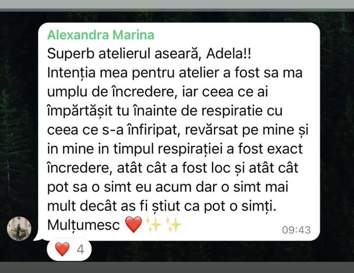 Mesaj de la Alexandra Marina despre atelier